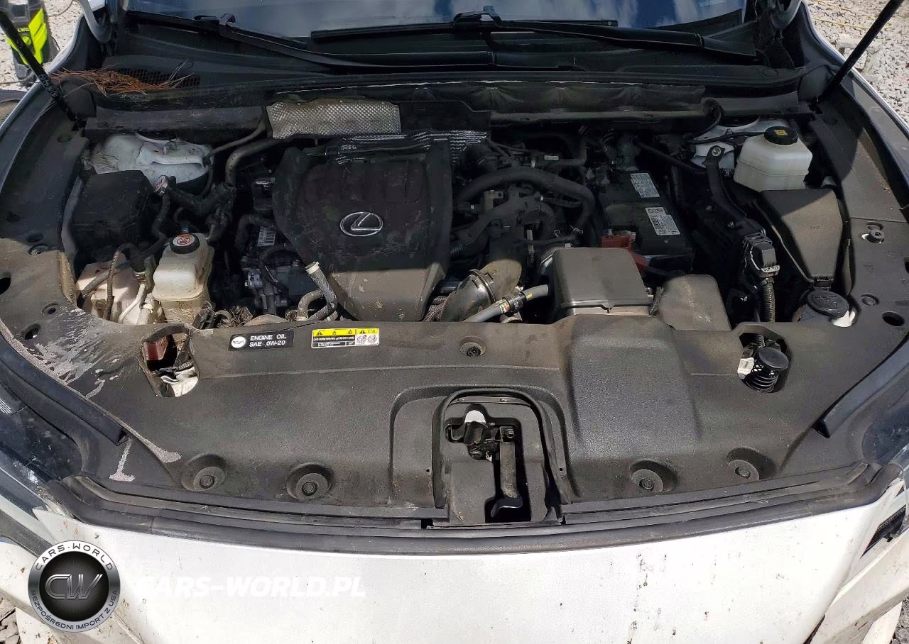 2023 Lexus Rx 350 Premium+ VIN:2T2BAMCA8PC004309 - 12