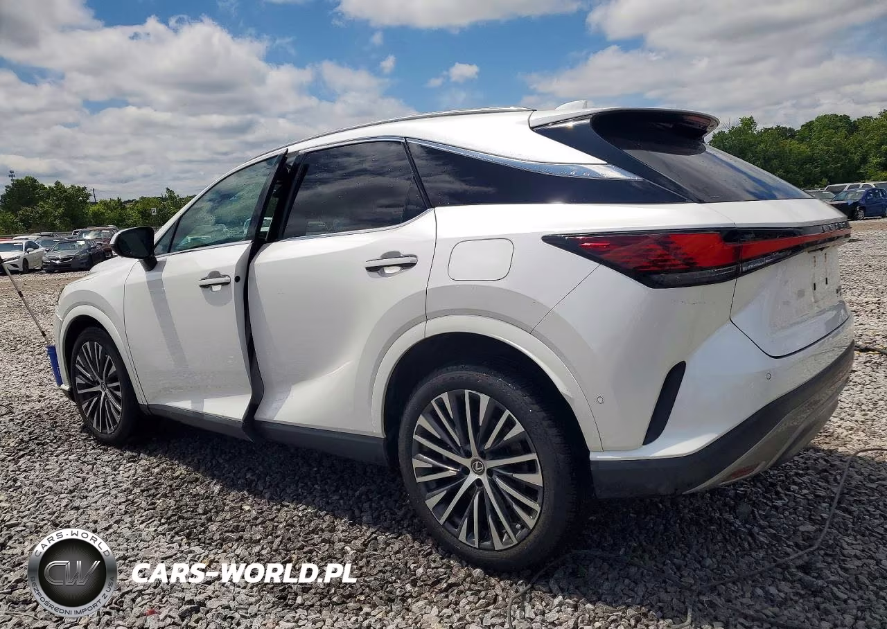 2023 Lexus Rx 350 Premium+ VIN:2T2BAMCA8PC004309 - 2