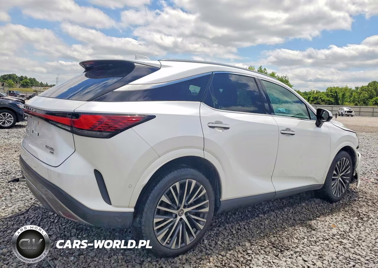 2023 Lexus Rx 350 Premium+ VIN:2T2BAMCA8PC004309 - 3