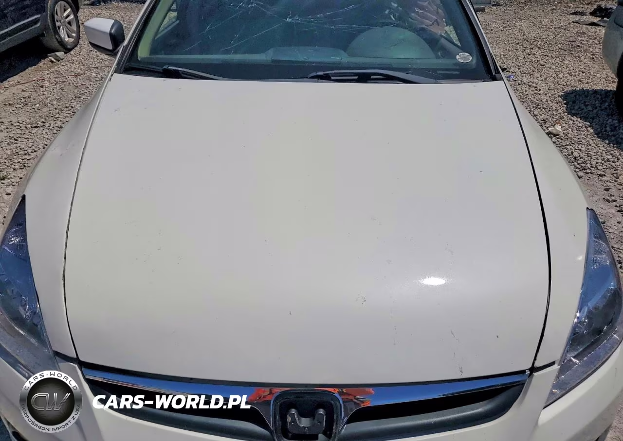 2007 Honda Accord Se VIN:1HGCM56397A187986 - 11