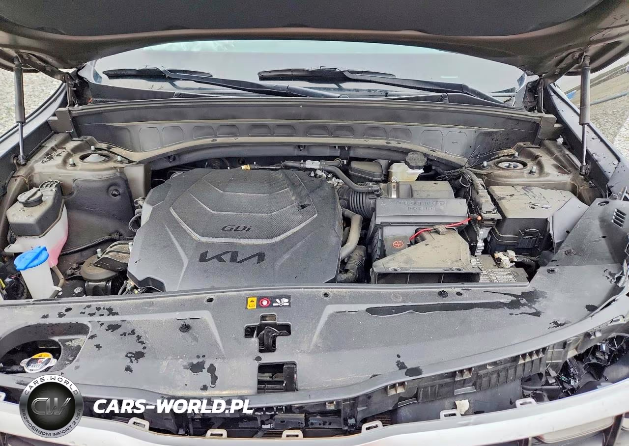 2023 Kia Telluride S VIN:5XYP64GCXPG331323 - 12