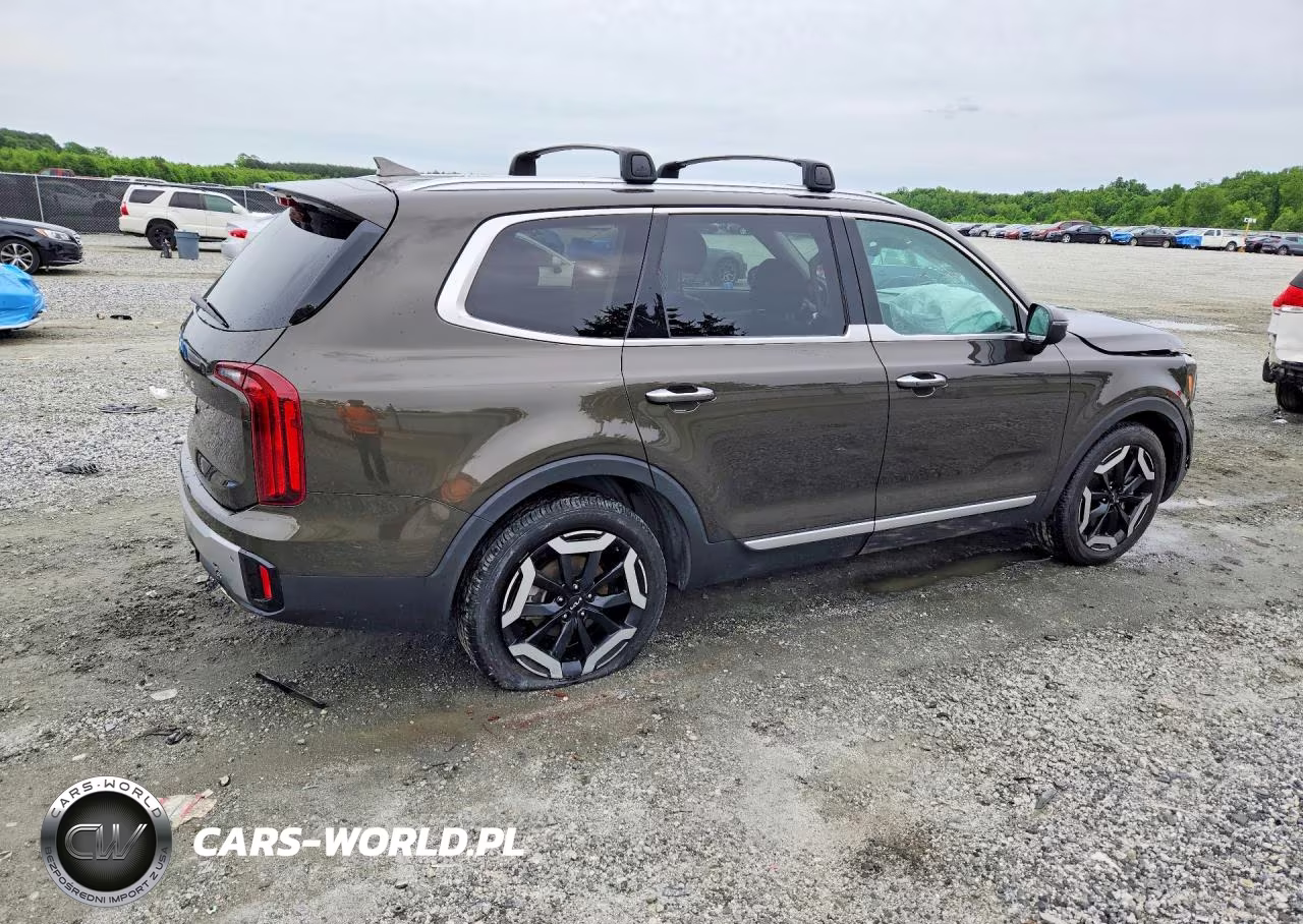 2023 Kia Telluride S VIN:5XYP64GCXPG331323 - 3