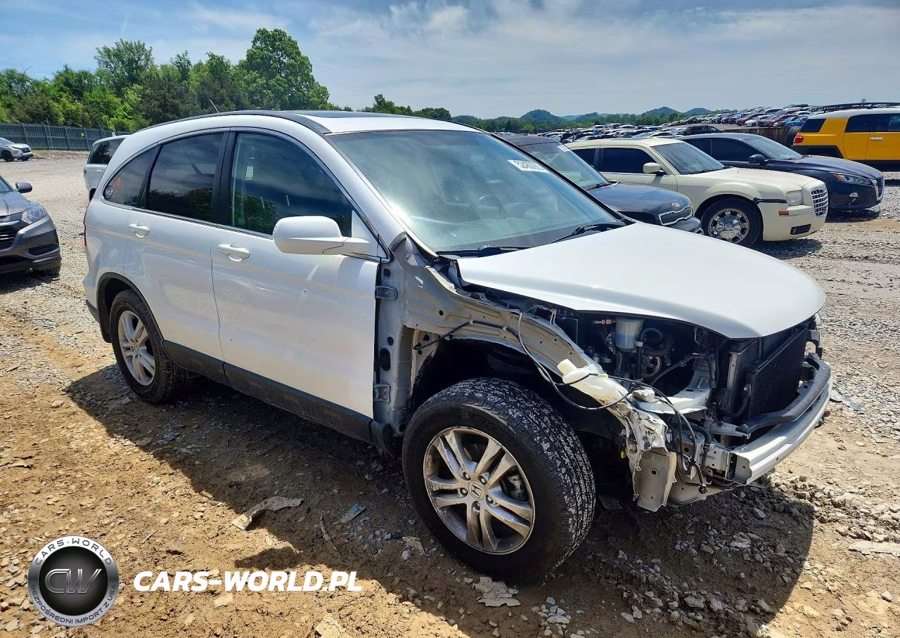 2010 Honda Cr-V Exl VIN:5J6RE3H74AL036232 - 4