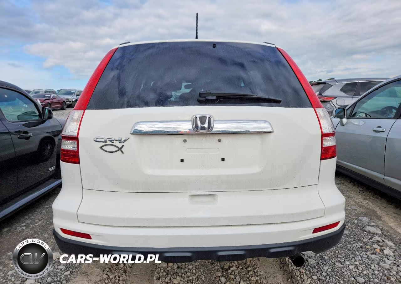 2010 Honda Cr-V Exl VIN:5J6RE3H74AL036232 - 6