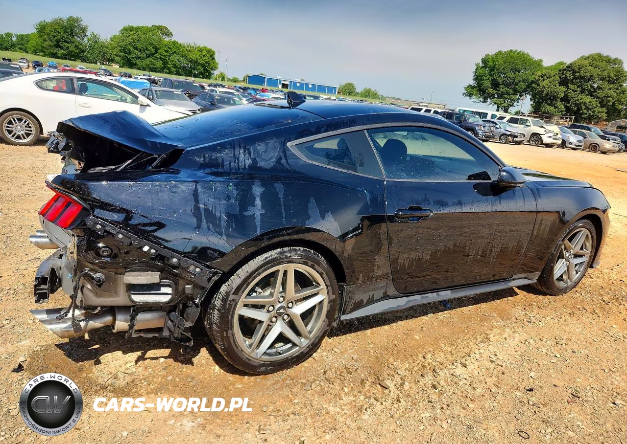 2025 Ford Mustang VIN:1FA6P8TH2S5118567 - 3