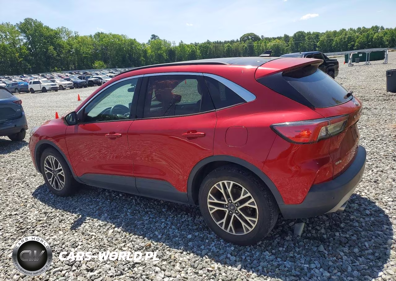 2020 Ford Escape Sel VIN:1FMCU0H61LUC22839 - 2