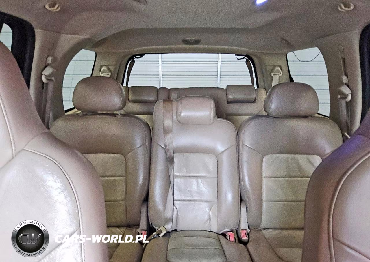 2004 Ford Expedition Eddie Bauer VIN:1FMRU17W94LB62141 - 10