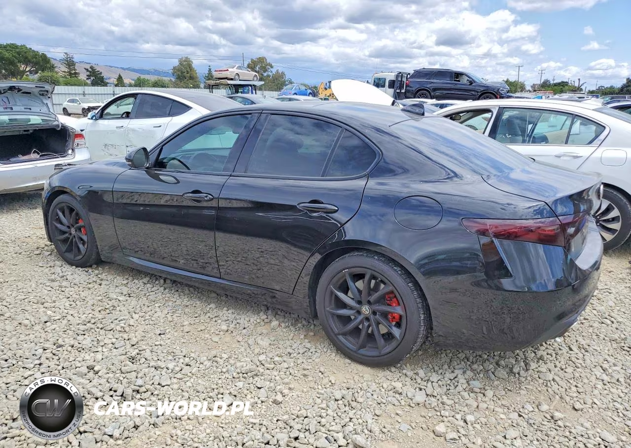 2017 Alfa Romeo Giulia VIN:ZARFAECN3H7551513 - 2