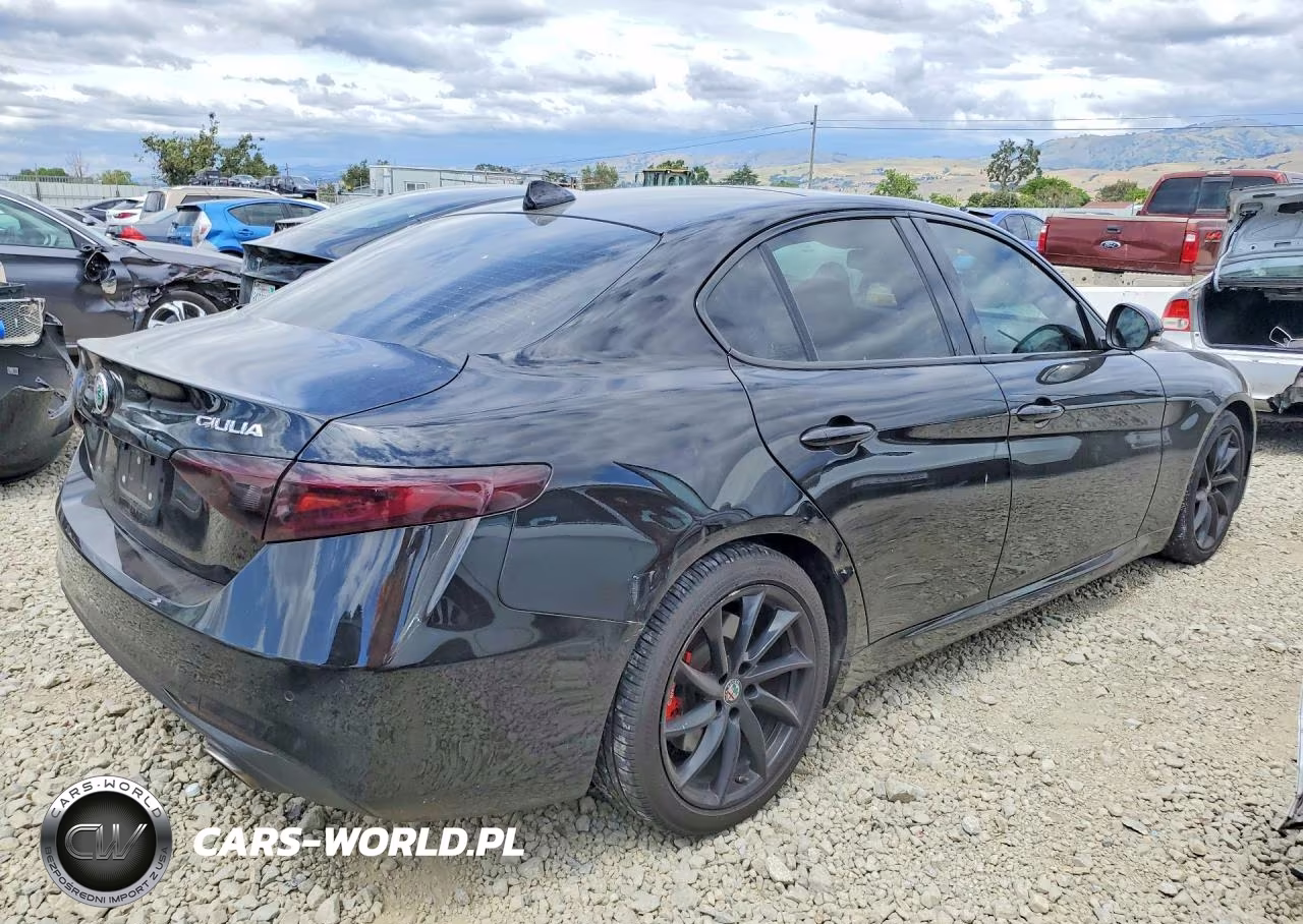 2017 Alfa Romeo Giulia VIN:ZARFAECN3H7551513 - 3