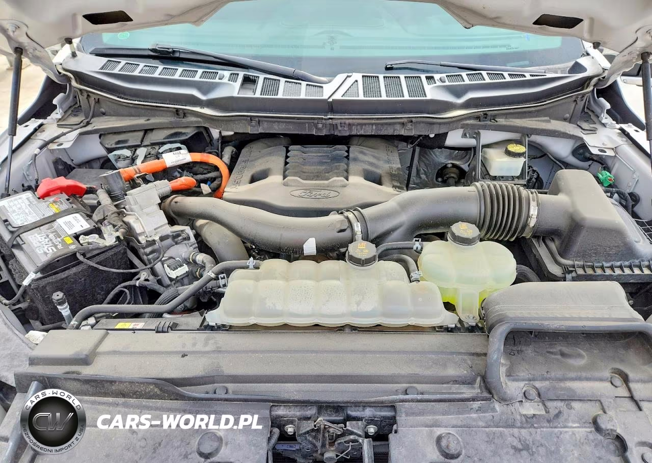 2021 Ford F150 Supercrew VIN:1FTFW1ED6MFB07132 - 11