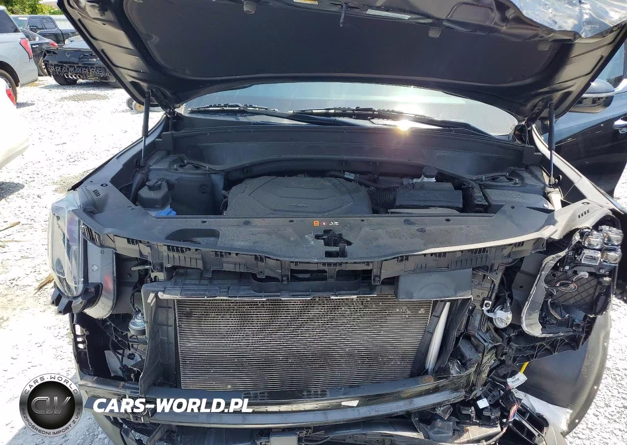2023 Kia Telluride S VIN:5XYP64GC4PG374927 - 12