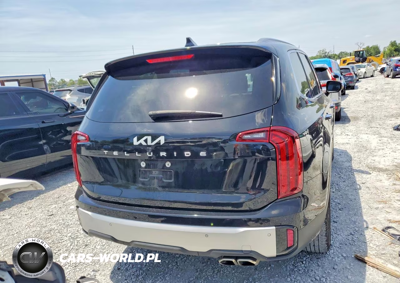 2023 Kia Telluride S VIN:5XYP64GC4PG374927 - 6