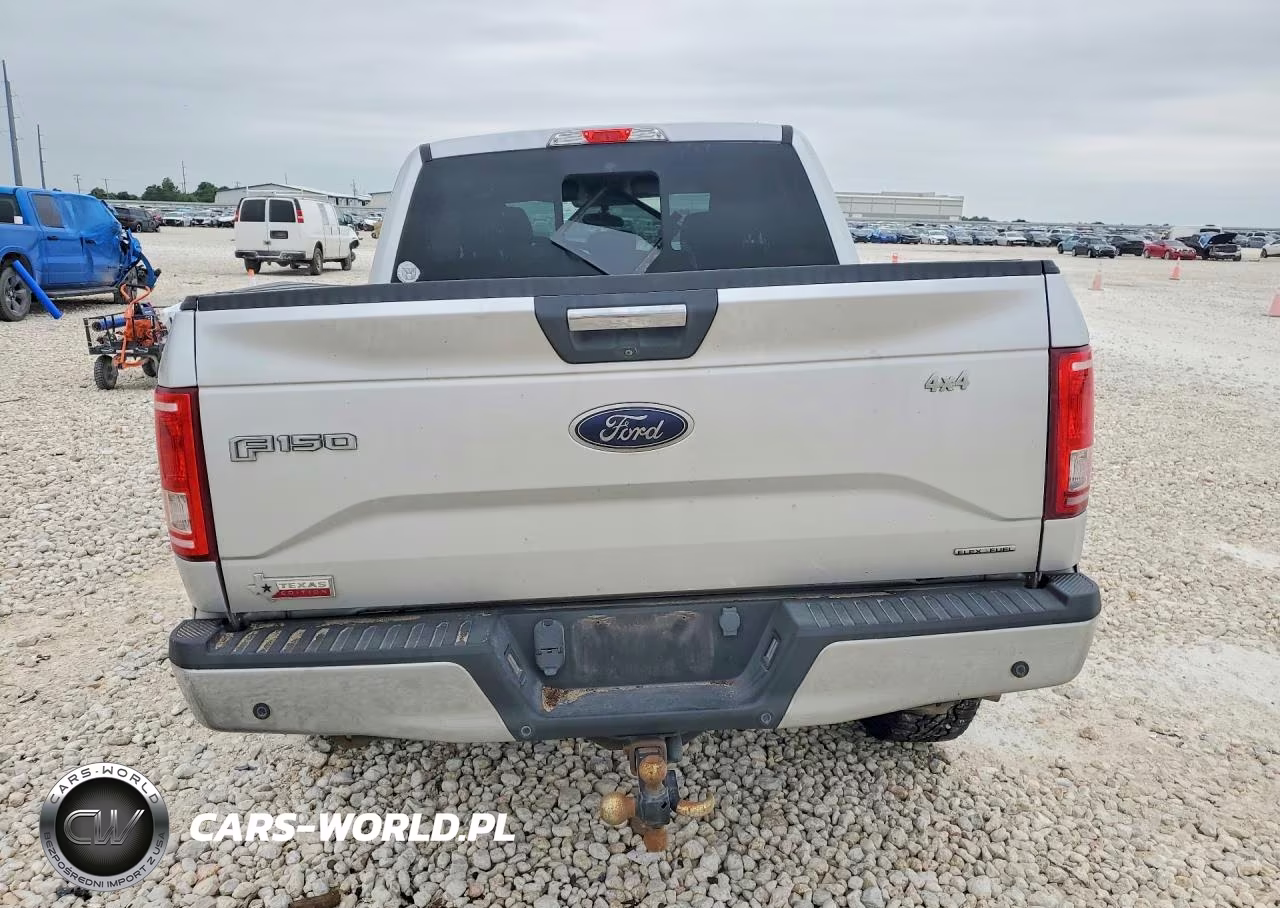 2015 Ford F150 Supercrew VIN:1FTEW1EF3FKD66880 - 6
