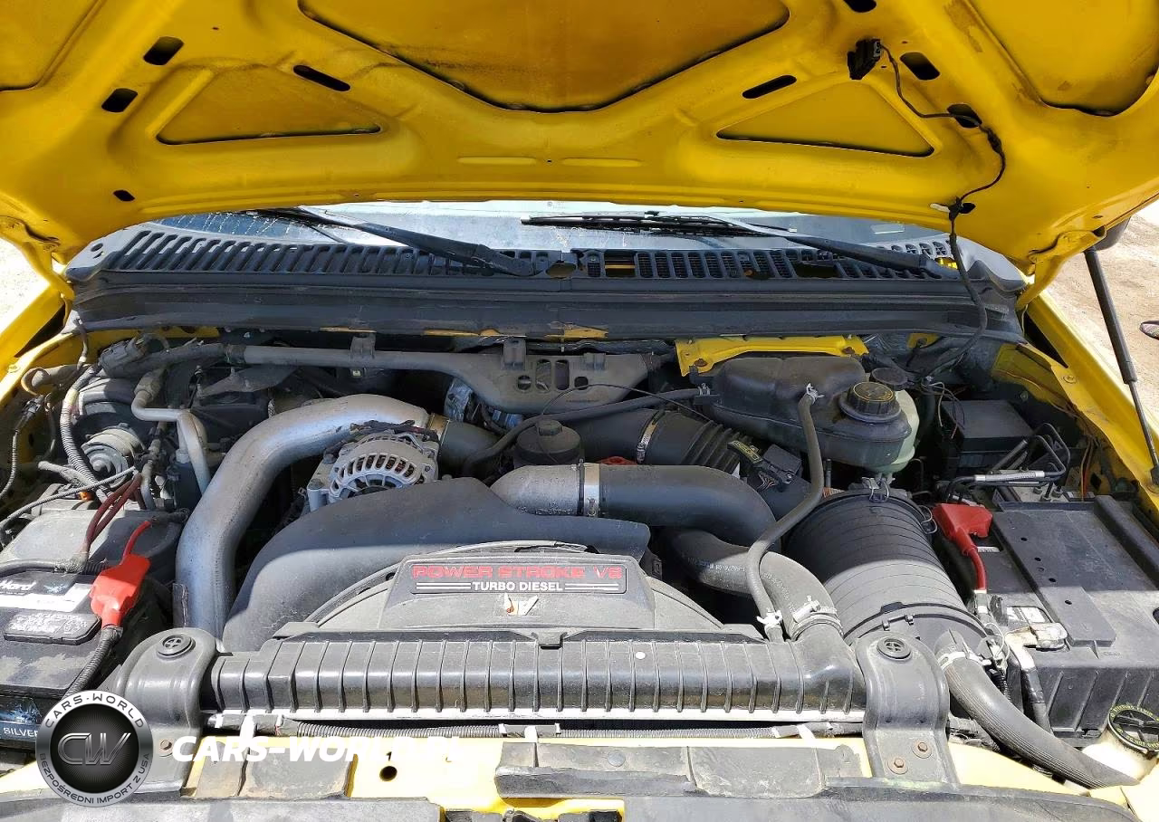 2005 Ford F250 Super Duty VIN:1FTSW21P45EA33558 - 11