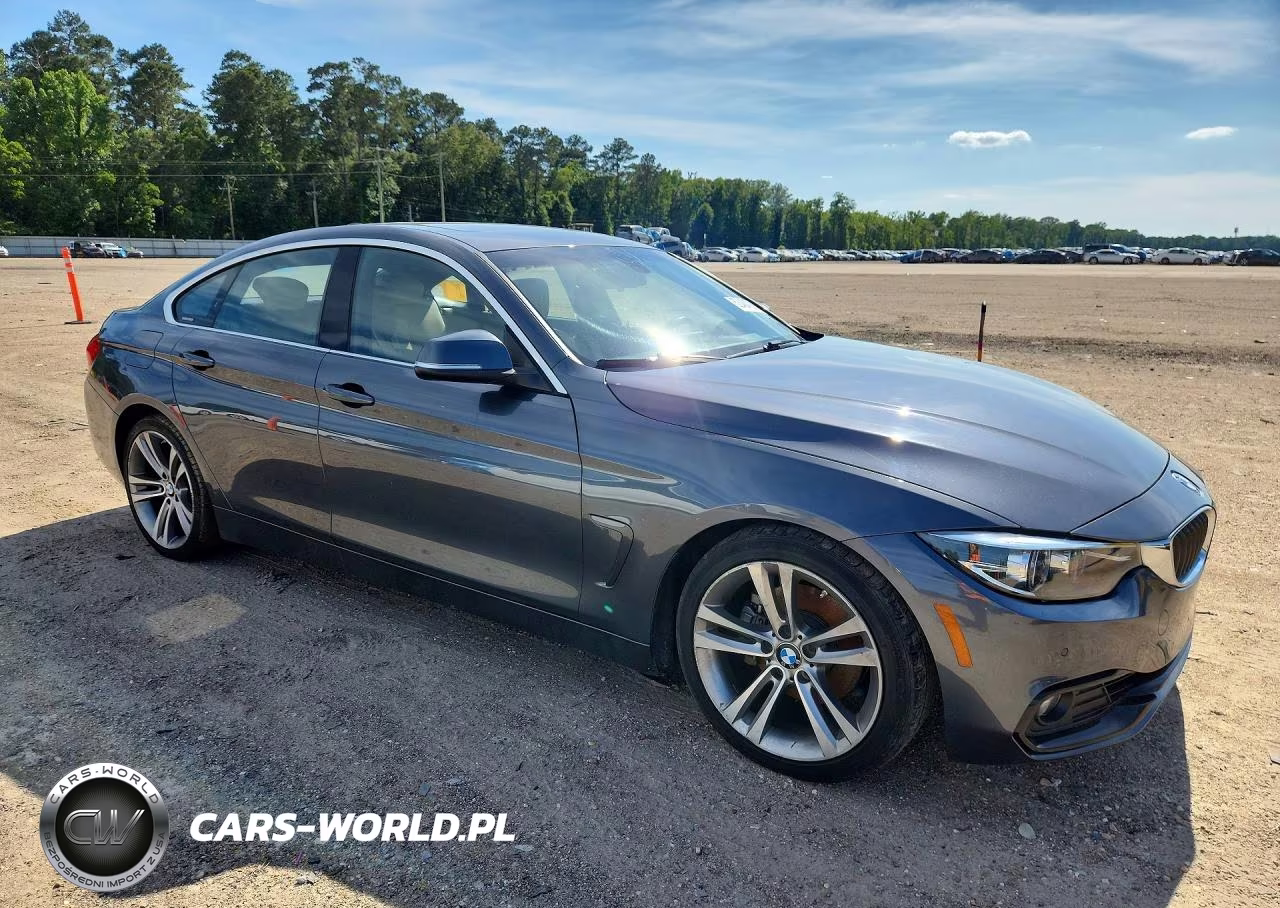 2018 BMW 430I Gran Coupe VIN:WBA4J1C52JBM10264 - 4