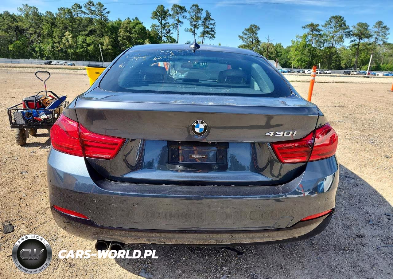 2018 BMW 430I Gran Coupe VIN:WBA4J1C52JBM10264 - 6