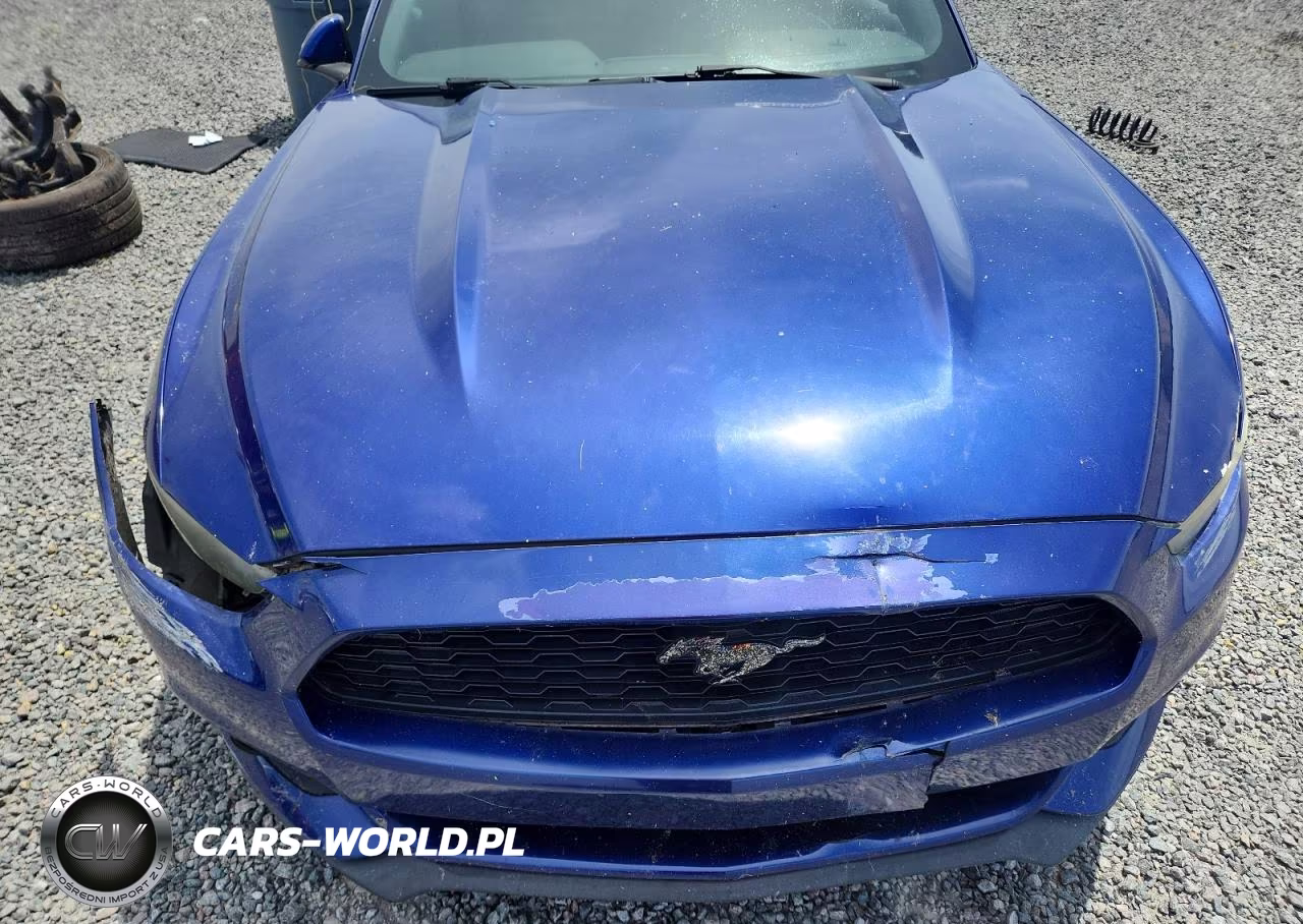 2015 Ford Mustang VIN:1FA6P8TH4F5304701 - 11