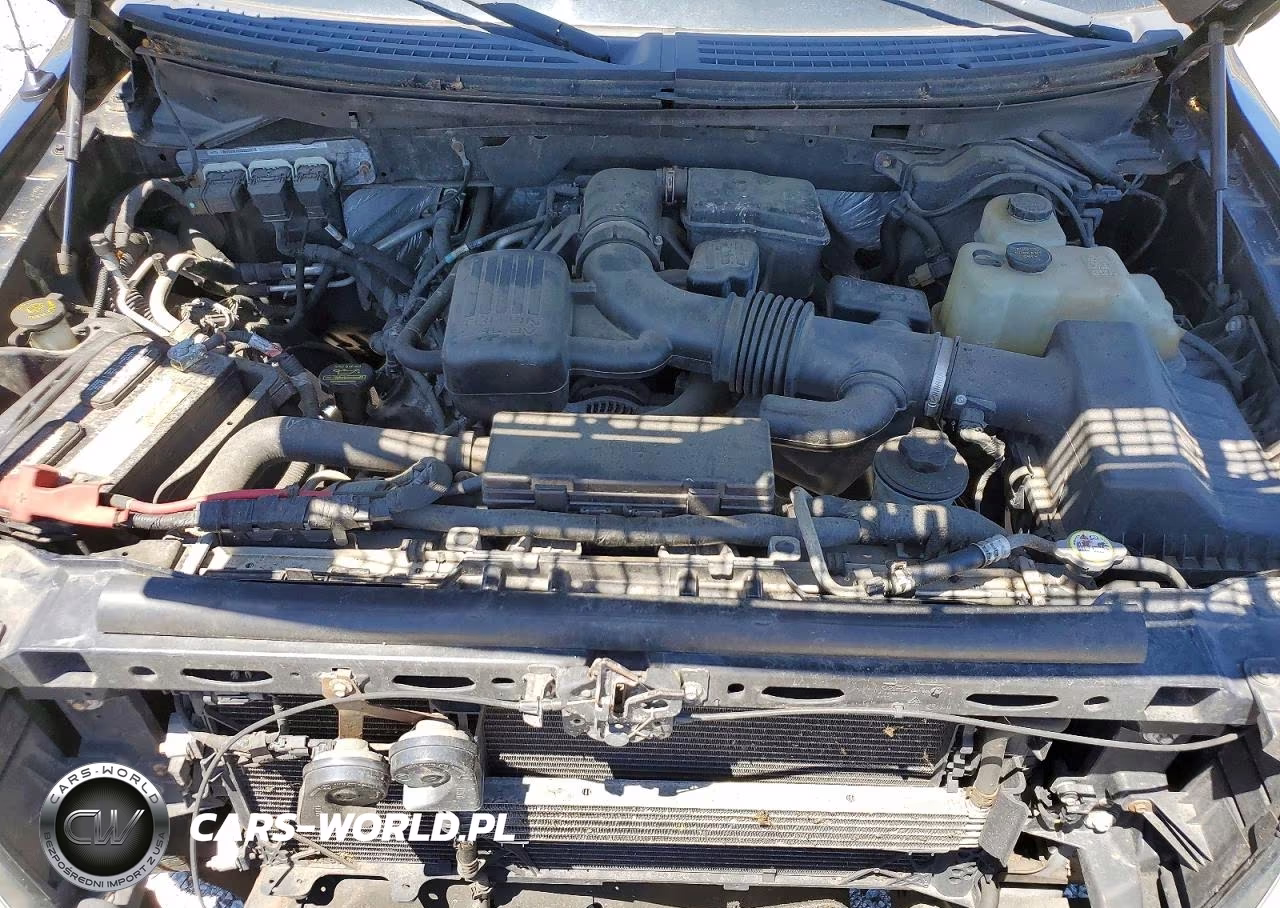 2010 Ford F150 Supercrew VIN:1FTFW1EV0AFB42723 - 11