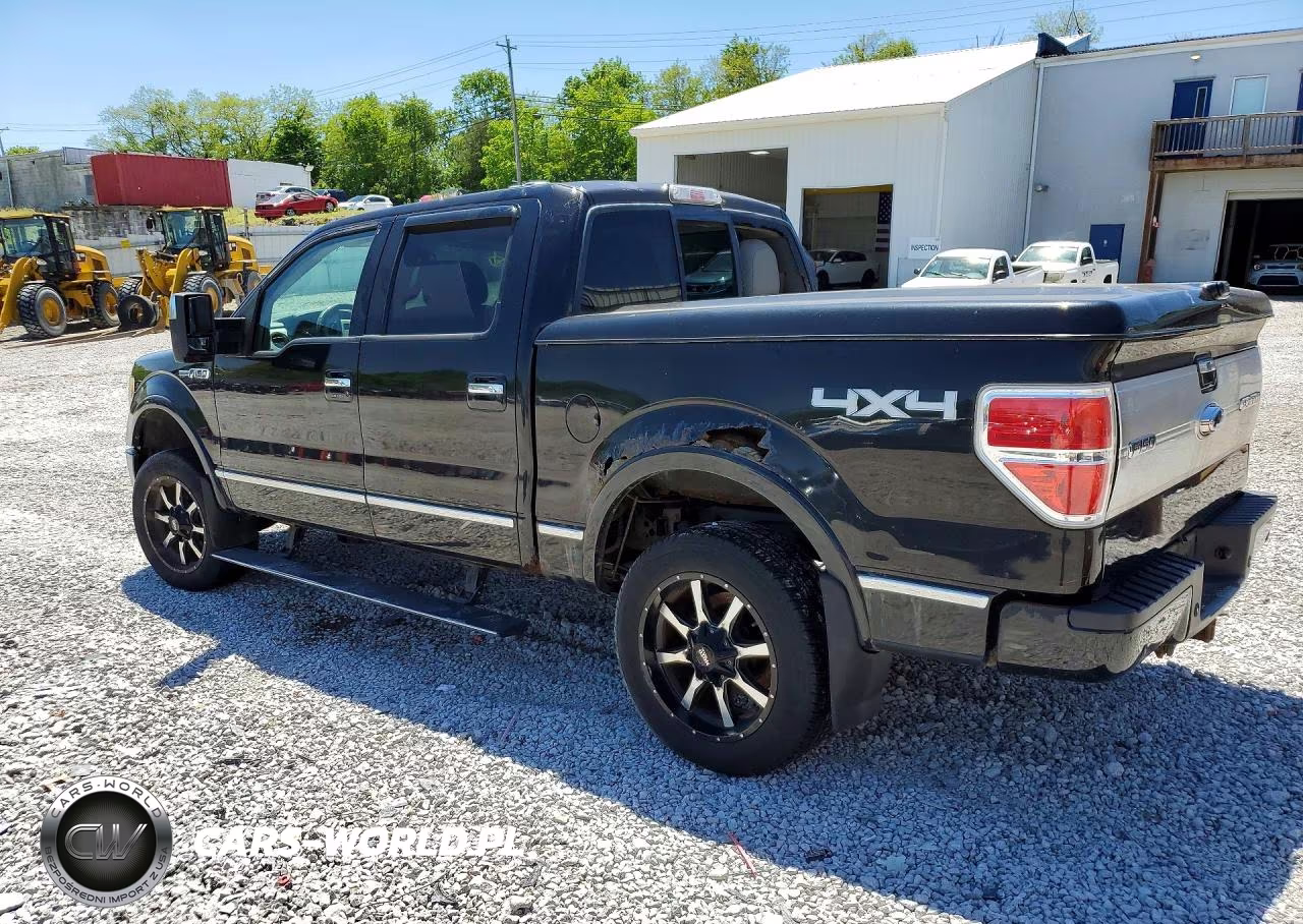 2010 Ford F150 Supercrew VIN:1FTFW1EV0AFB42723 - 2