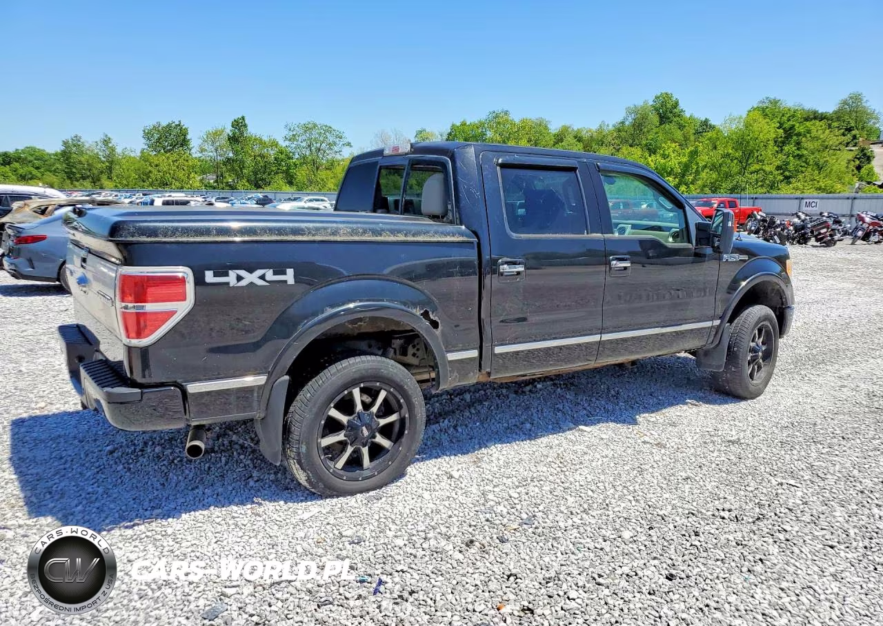 2010 Ford F150 Supercrew VIN:1FTFW1EV0AFB42723 - 3