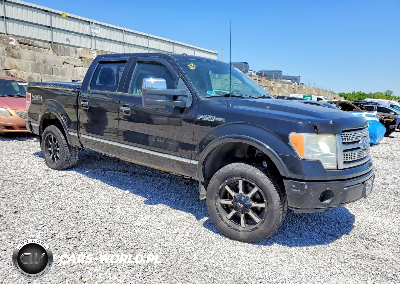 2010 Ford F150 Supercrew VIN:1FTFW1EV0AFB42723 - 4