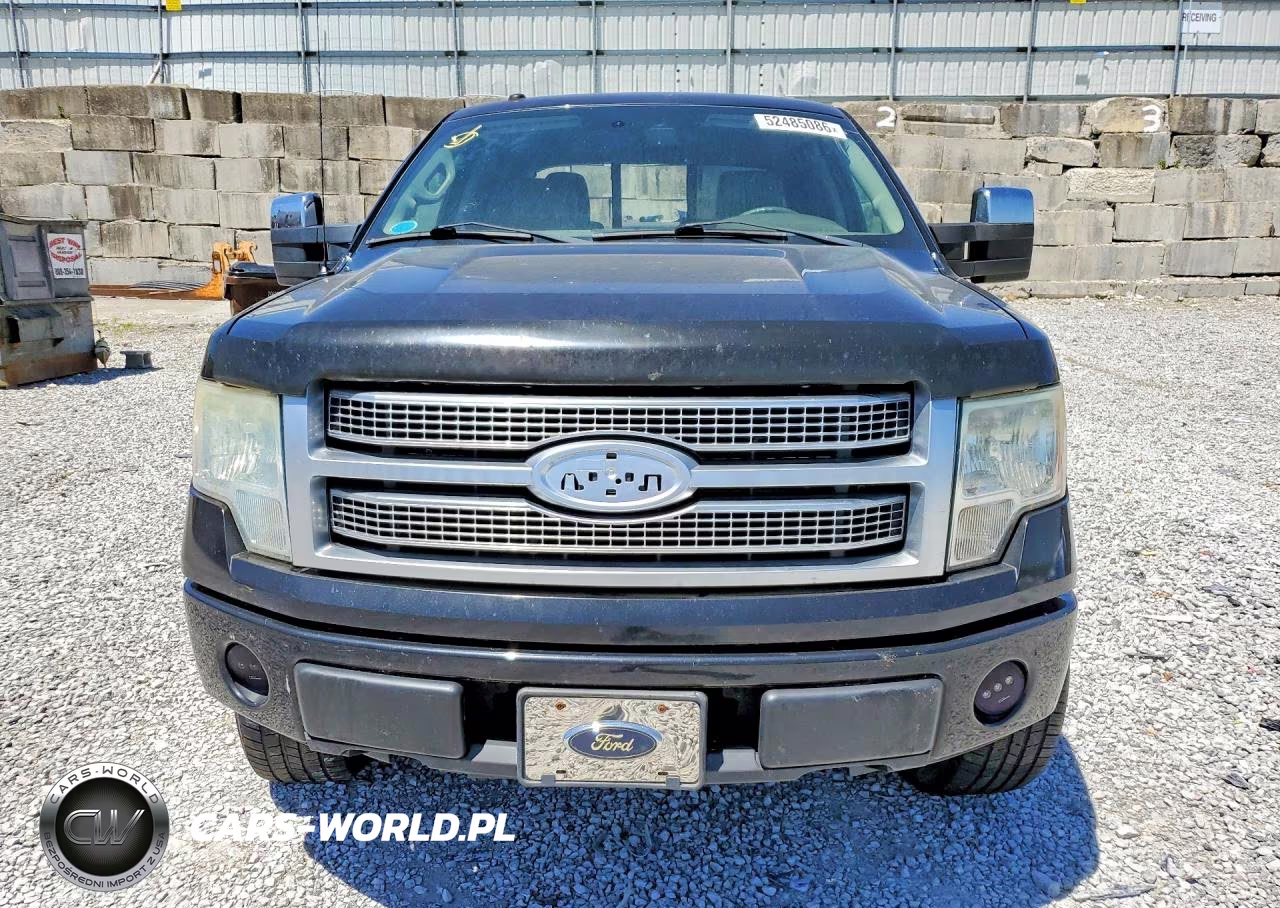 2010 Ford F150 Supercrew VIN:1FTFW1EV0AFB42723 - 5