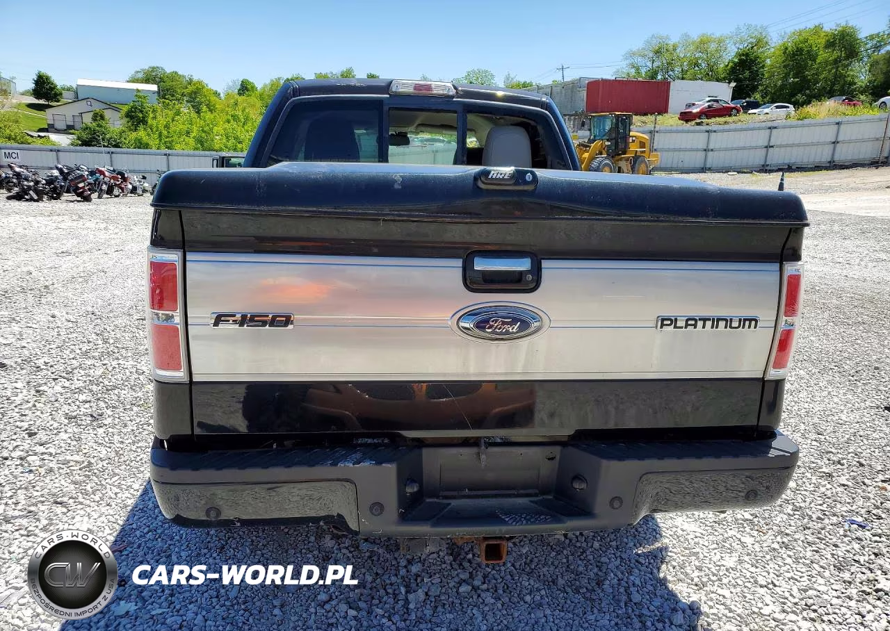 2010 Ford F150 Supercrew VIN:1FTFW1EV0AFB42723 - 6