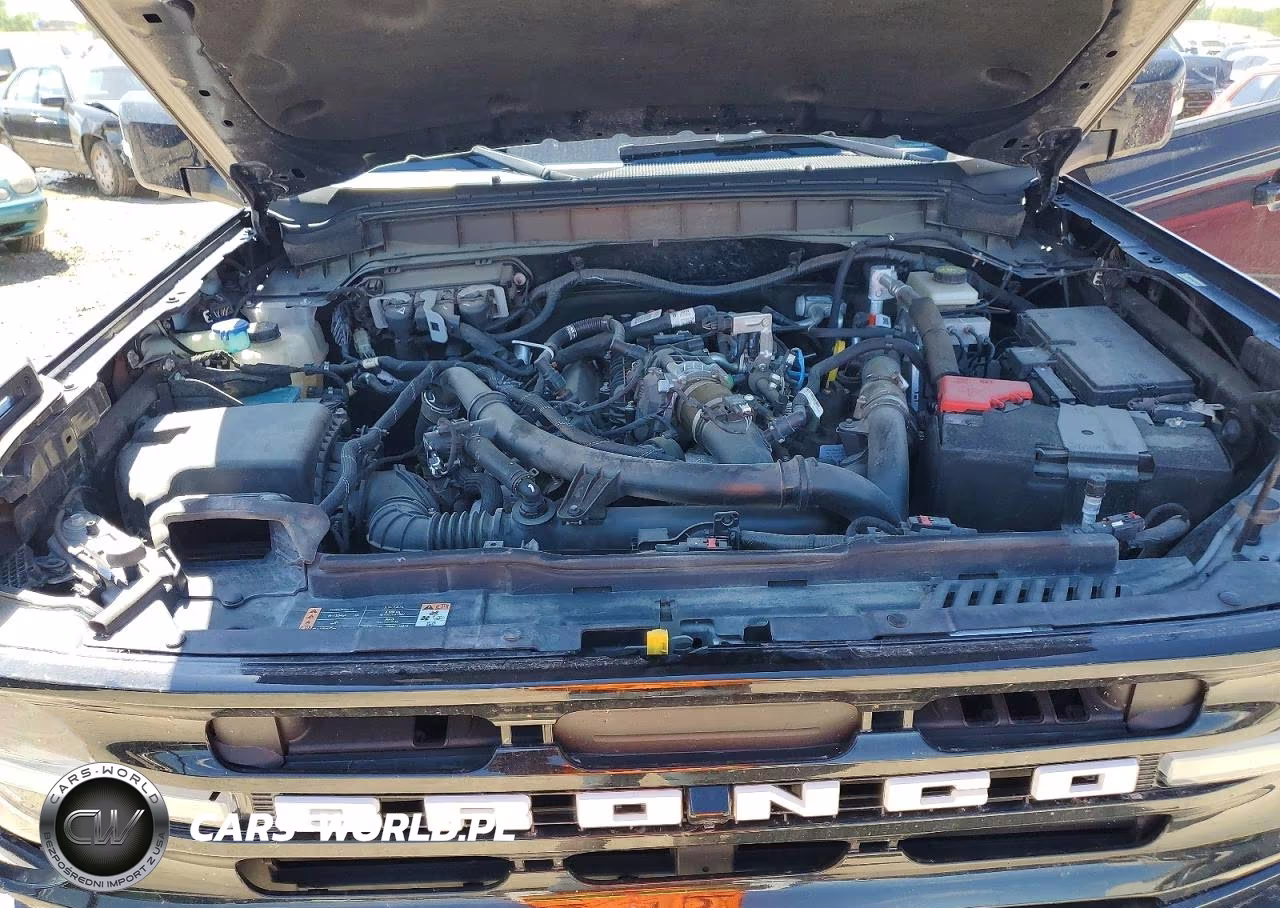 2021 Ford Bronco Base VIN:1FMEE5BP2MLA64507 - 11