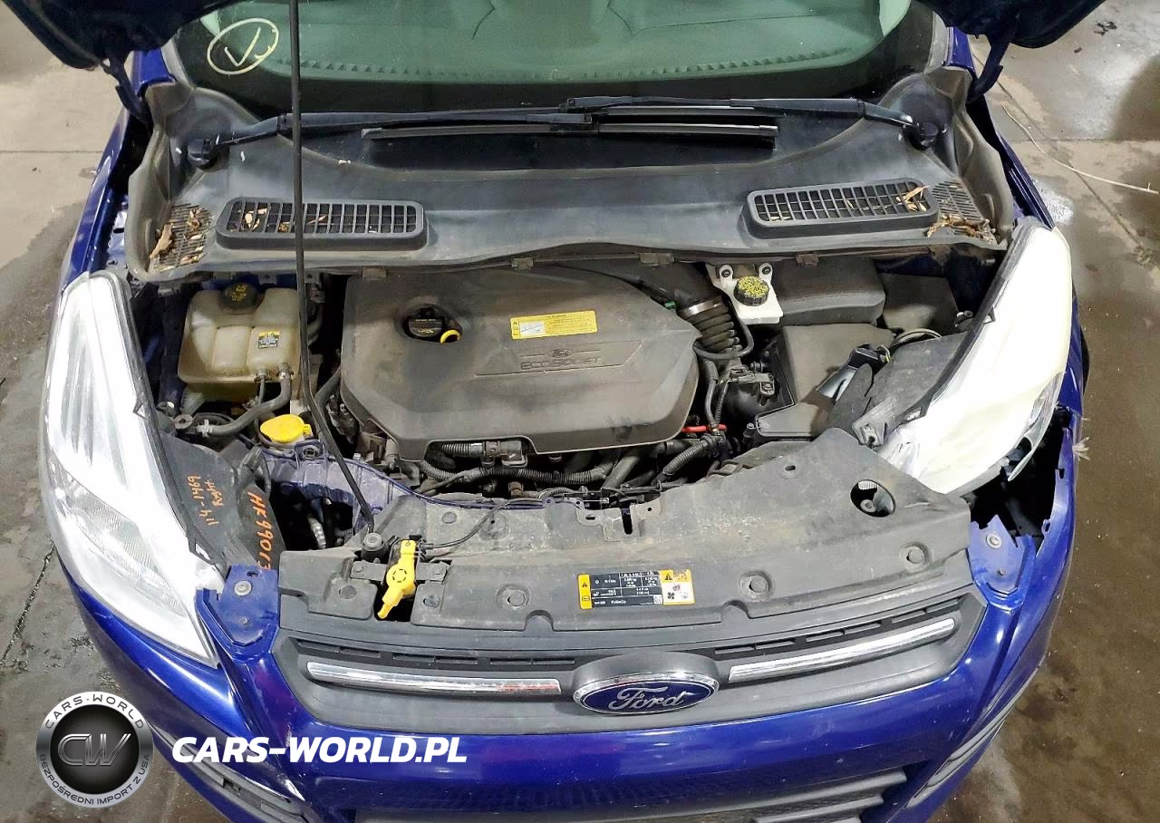 2013 Ford Escape Se VIN:1FMCU0GX2DUD17308 - 12