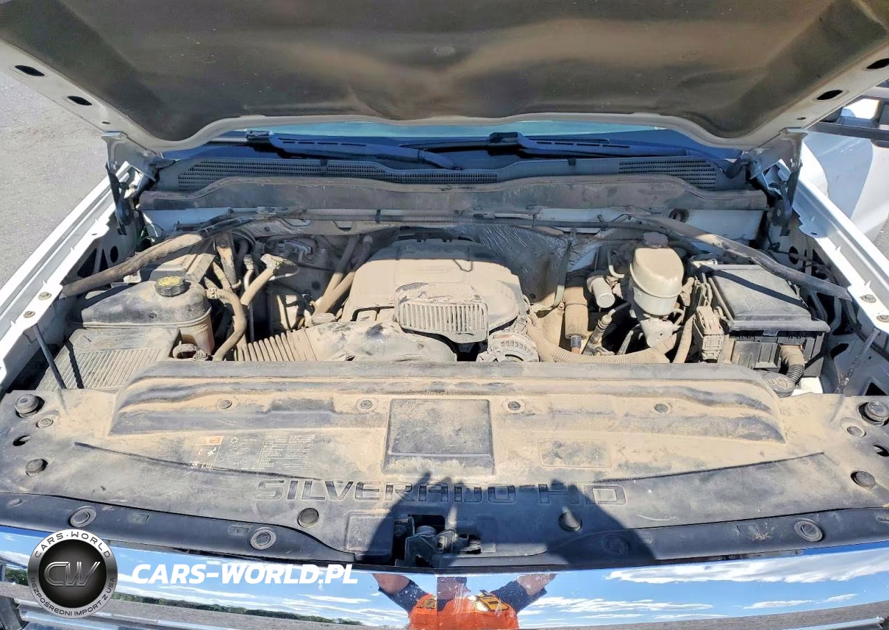 2016 Chevrolet Silverado C2500 Heavy Duty VIN:1GC2CUEG7GZ282088 - 11