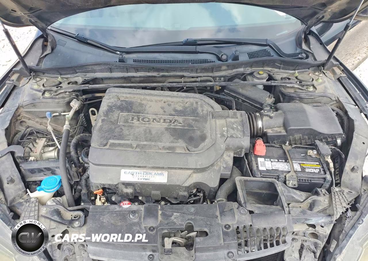2014 Honda Accord Exl VIN:1HGCR3F82EA011294 - 11