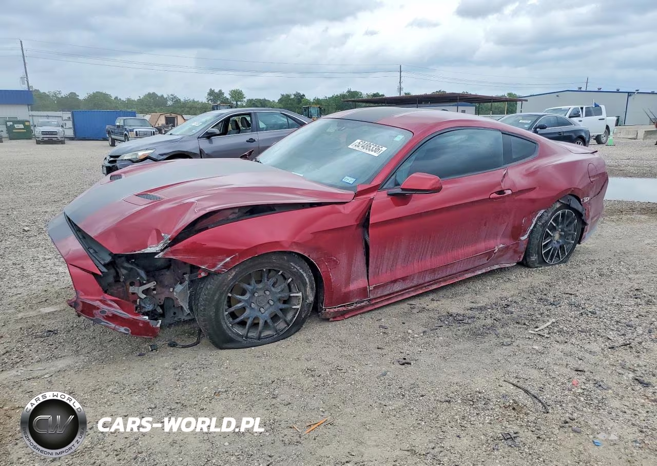 2019 Ford Mustang