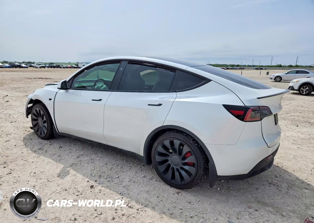 2025 Tesla Model Y VIN:7SAYGDEF7SA339894 - 2
