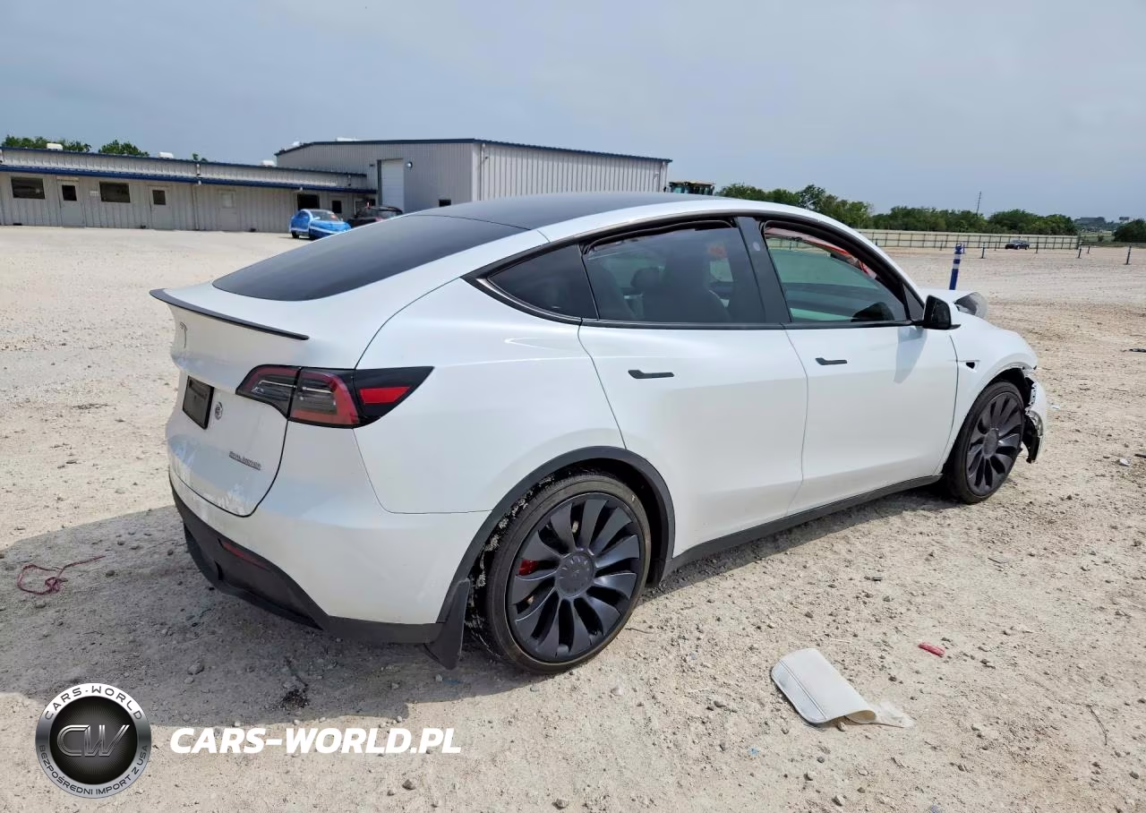 2025 Tesla Model Y VIN:7SAYGDEF7SA339894 - 3