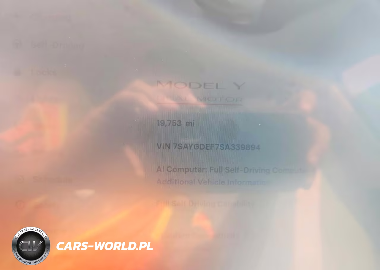 2025 Tesla Model Y VIN:7SAYGDEF7SA339894 - 9