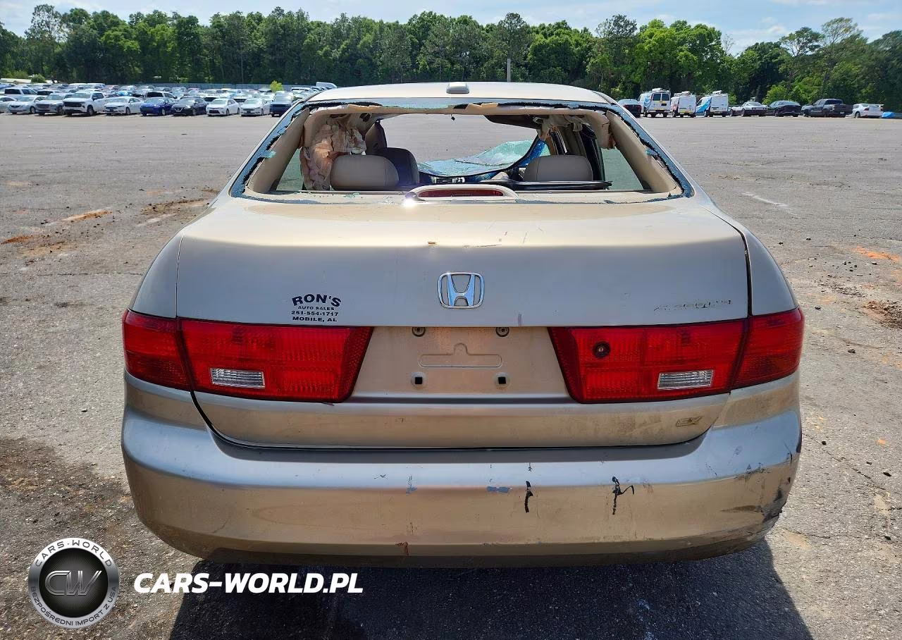 2005 Honda Accord Ex VIN:1HGCM56875A173335 - 6