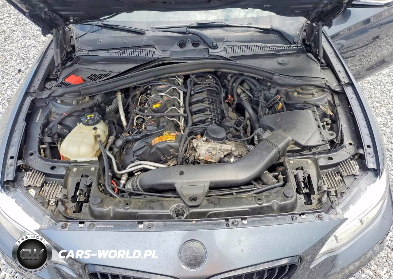 2016 BMW M235Xi VIN:WBA1J9C59GV696185 - 11