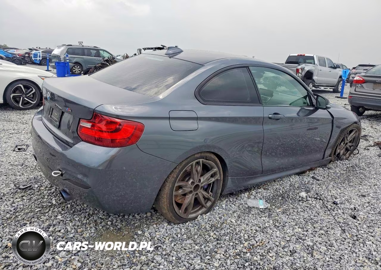 2016 BMW M235Xi VIN:WBA1J9C59GV696185 - 3