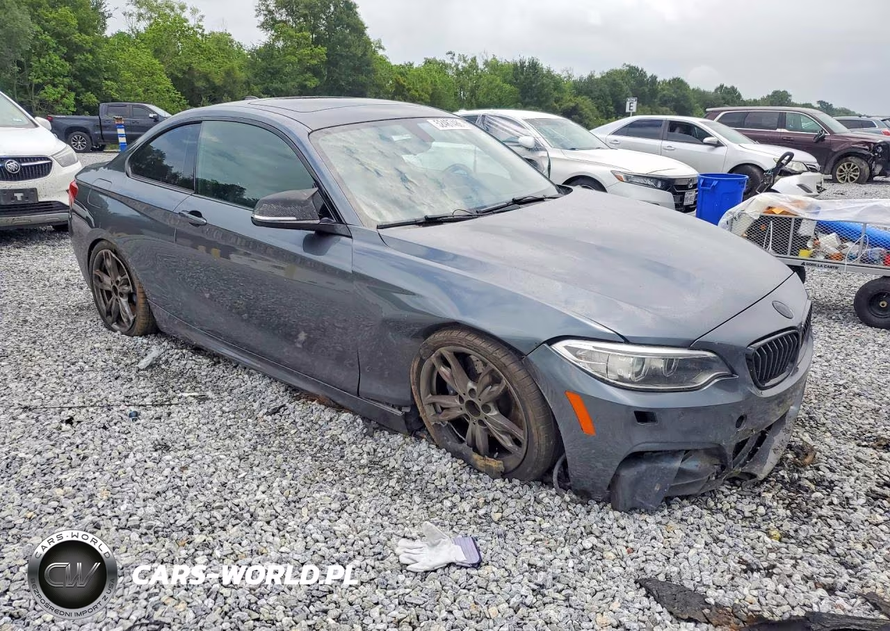 2016 BMW M235Xi VIN:WBA1J9C59GV696185 - 4