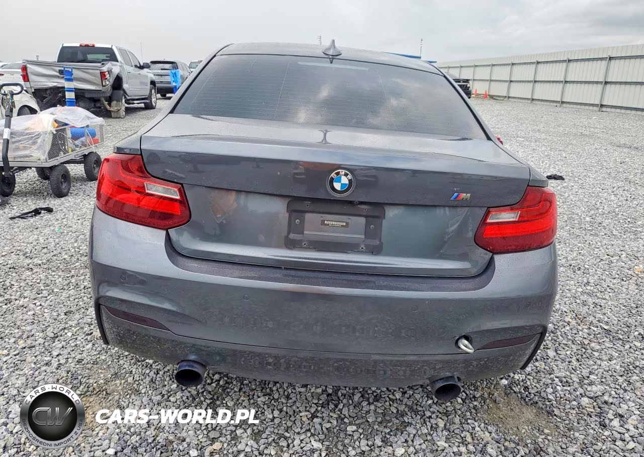 2016 BMW M235Xi VIN:WBA1J9C59GV696185 - 6