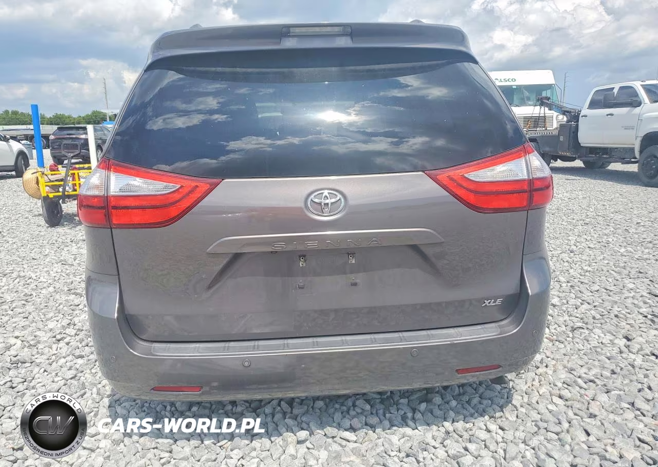 2016 Toyota Sienna Xle 8-Passenger VIN:5TDYK3DC9GS710458 - 6