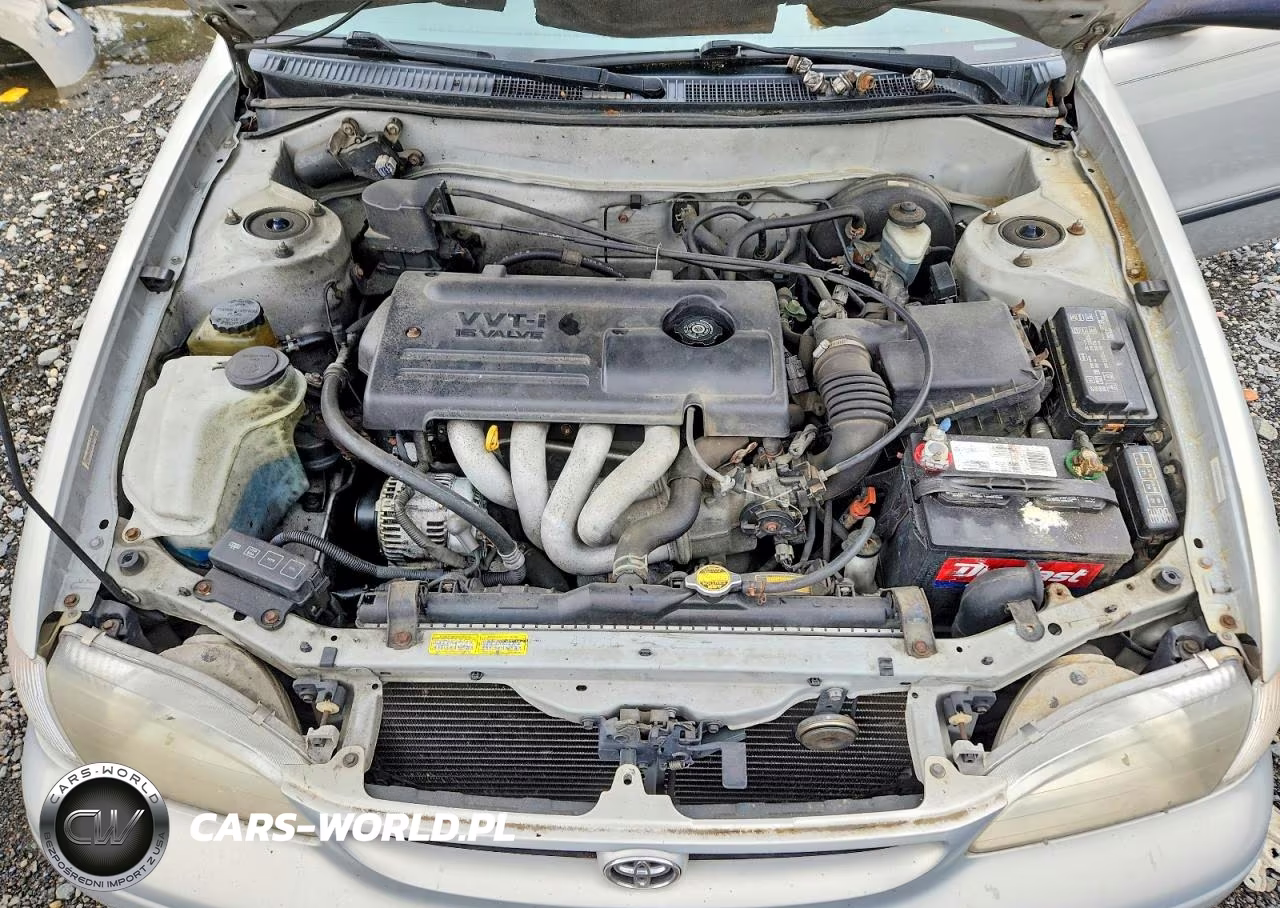 2000 Toyota Corolla Ve VIN:2T1BR12E0YC378074 - 11