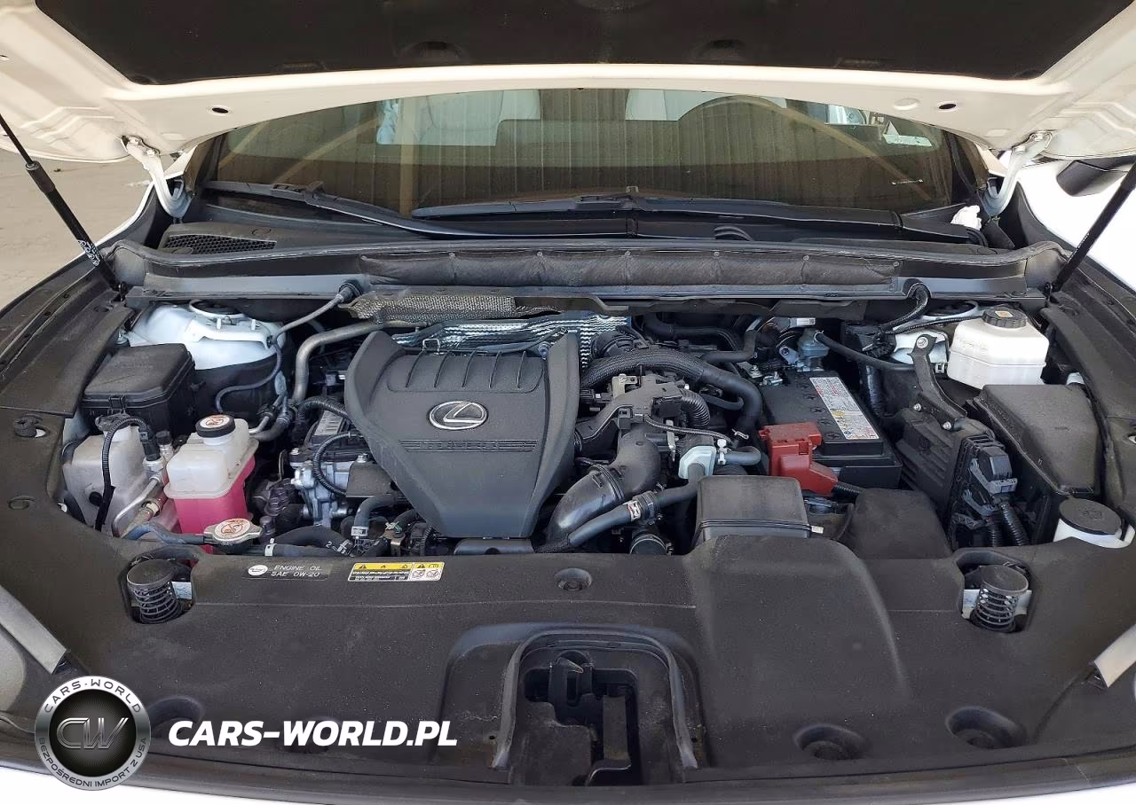 2023 Lexus Rx 350 Premium+ VIN:JTJCHMAA7P2006667 - 12