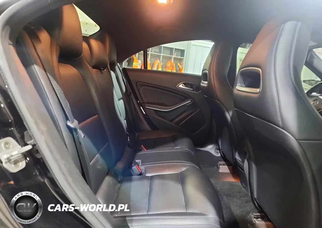 2014 Mercedes-Benz Cla 250 VIN:WDDSJ4EB1EN040451 - 10
