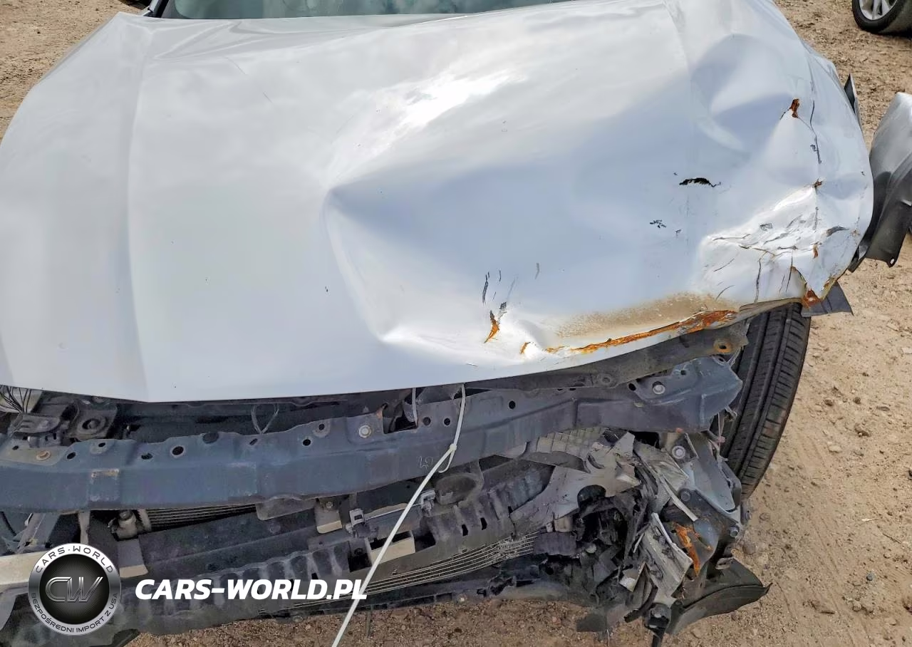 2019 Nissan Altima VIN:1N4BL4DV5KC135253 - 11