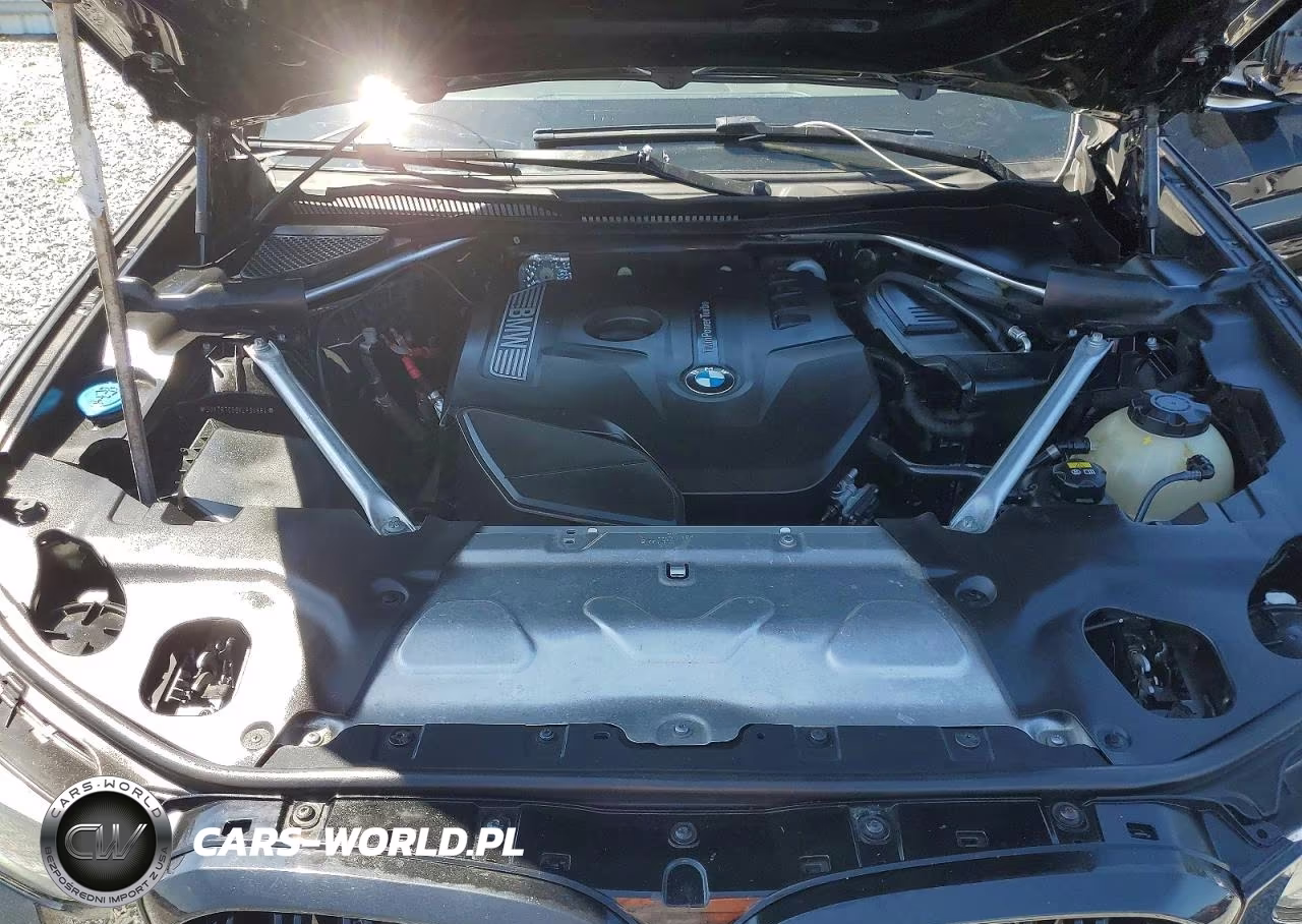 2019 BMW X3 Sdrive30I VIN:5UXTR7C59KLF34684 - 12
