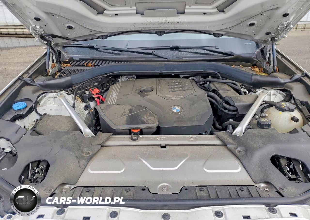 2023 BMW X3 Sdrive30I VIN:5UX43DP07P9R62838 - 12