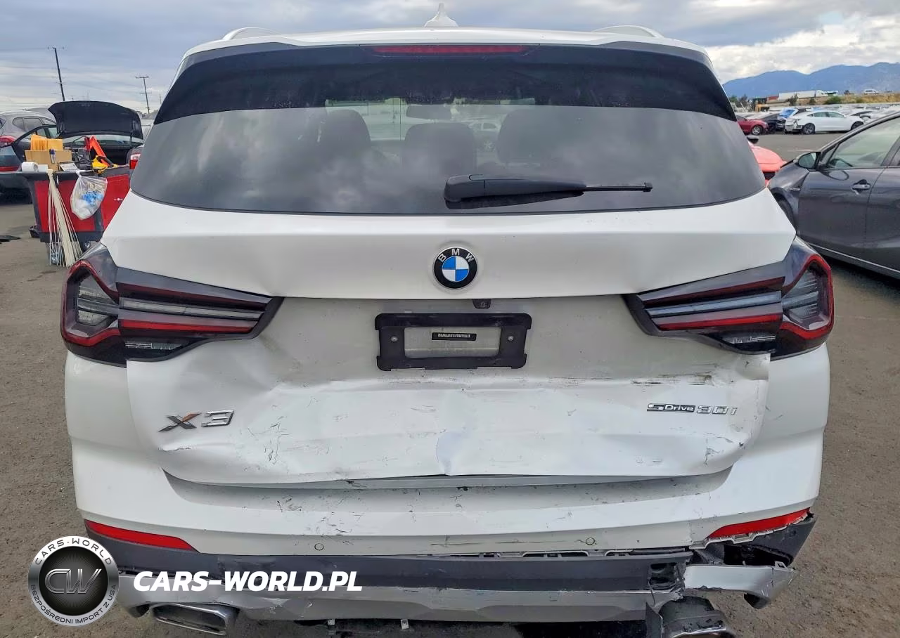 2023 BMW X3 Sdrive30I VIN:5UX43DP07P9R62838 - 6