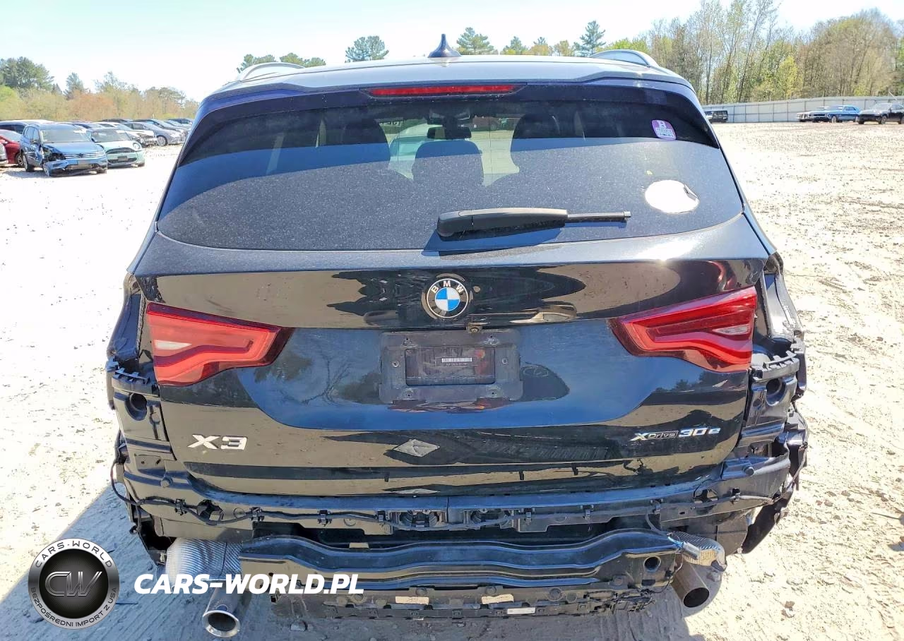 2021 BMW X3 xDrive30E VIN:5UXTS1C06M9D79811 - 6