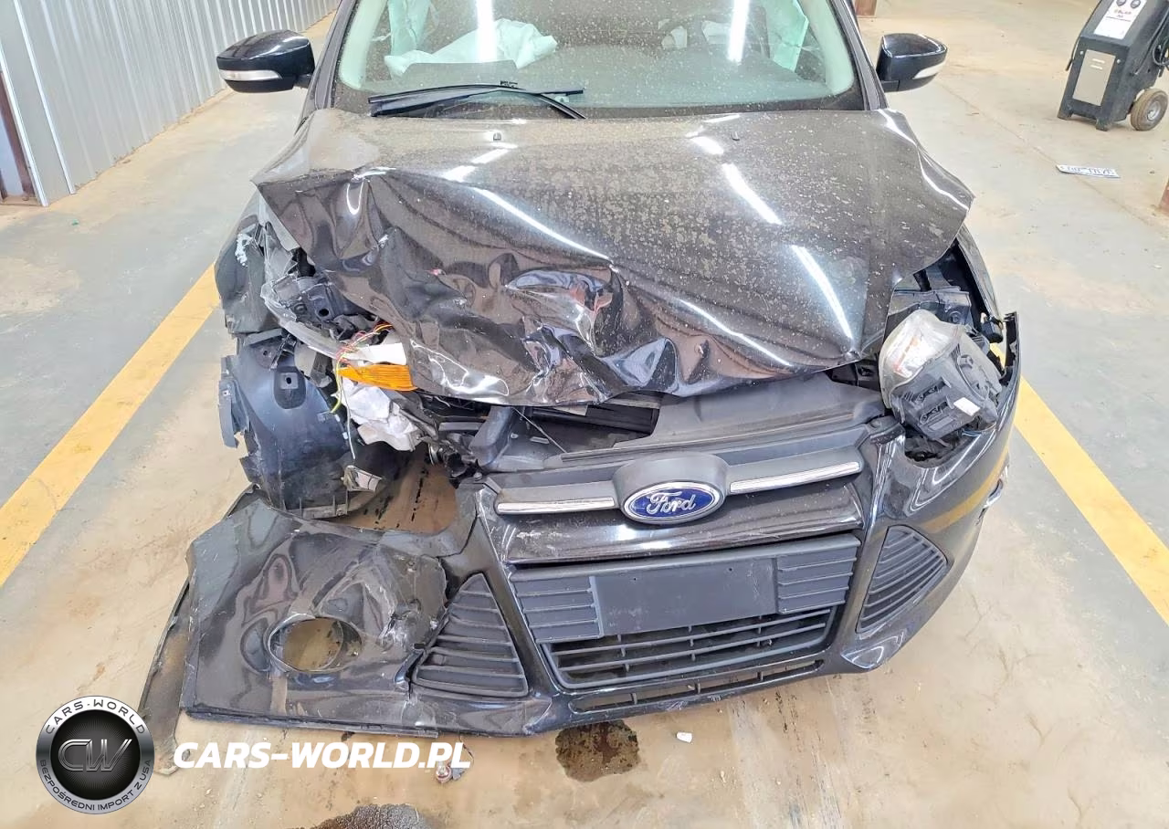 2014 Ford Focus Se VIN:1FADP3K24EL450209 - 11